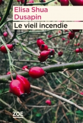 Le vieil incendie.jpg